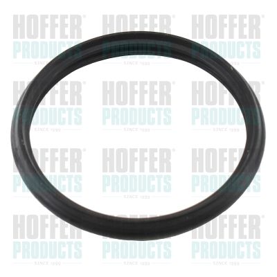 HOFFER 016110