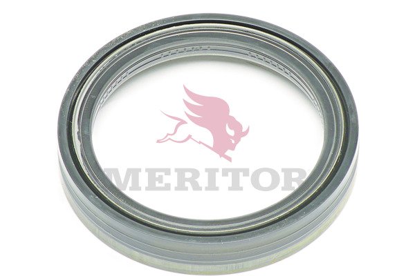 MERITOR 21200321A