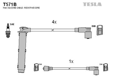 TESLA T571B