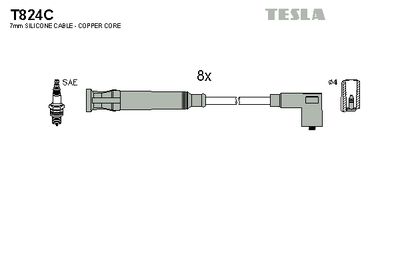 TESLA T824C