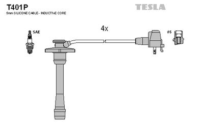 TESLA T401P