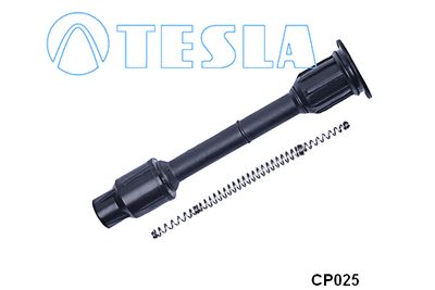 TESLA CP025