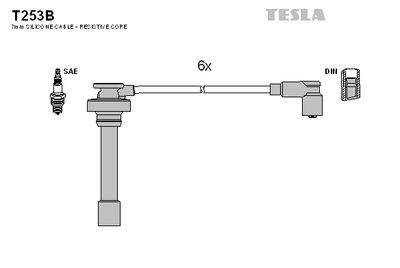 TESLA T253B