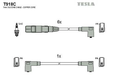 TESLA T918C