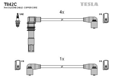 TESLA T842C