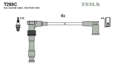 TESLA T289C