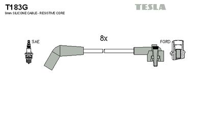 TESLA T183G