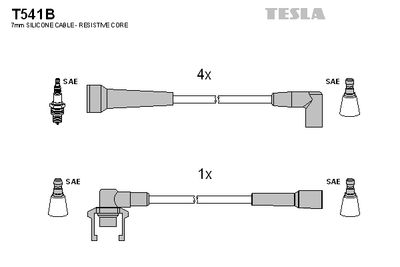 TESLA T541B