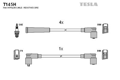 TESLA T145H