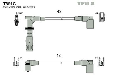 TESLA T591C