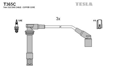 TESLA T365C