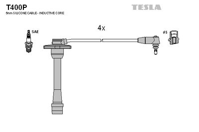 TESLA T400P