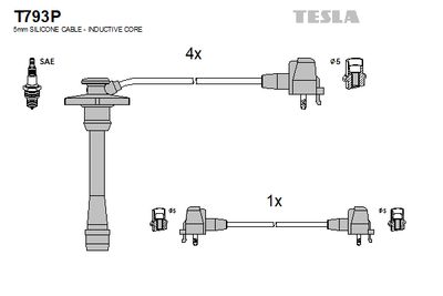 TESLA T793P