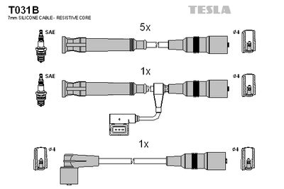 TESLA T031B