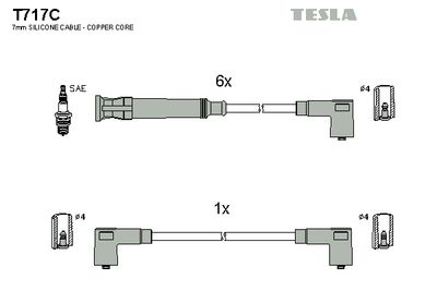 TESLA T717C