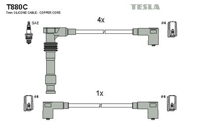 TESLA T880C