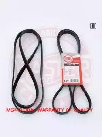 MASTER-SPORT 6PK1795-PCS-MS