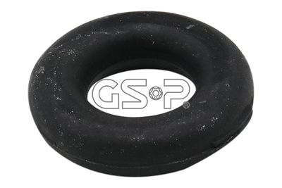 GSP 510171