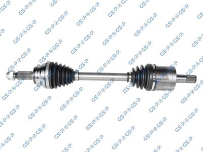 GSP 251065