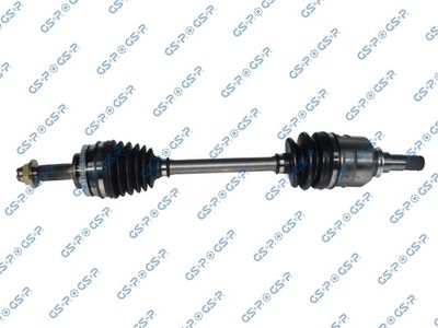 GSP 259076