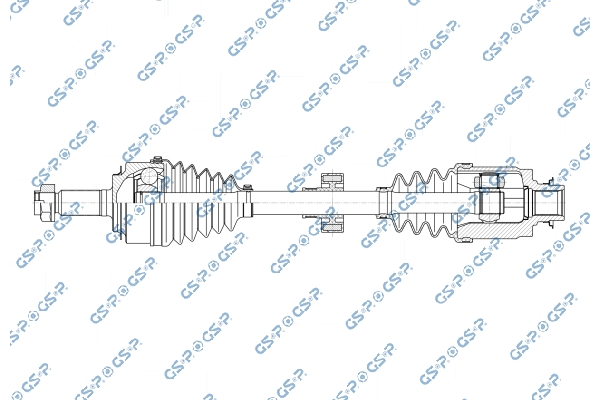 GSP 223293