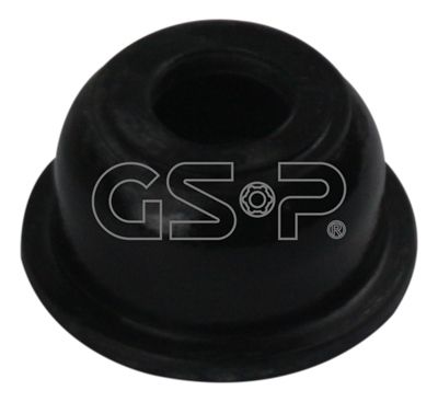 GSP 540138