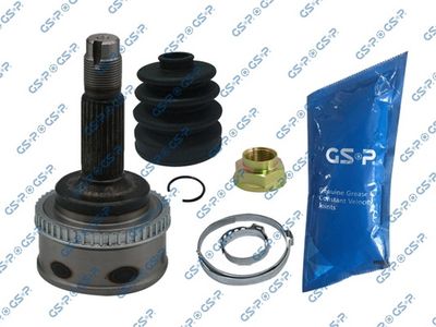GSP 859196