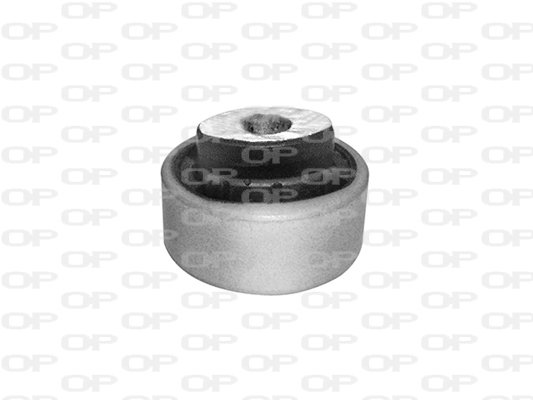 OPEN PARTS SSS1118.11