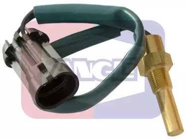 ANGLI 1845 ANGLI 1845