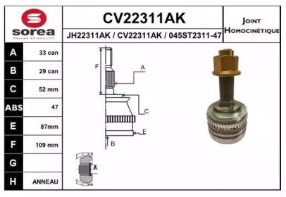 EAI CV22311AK