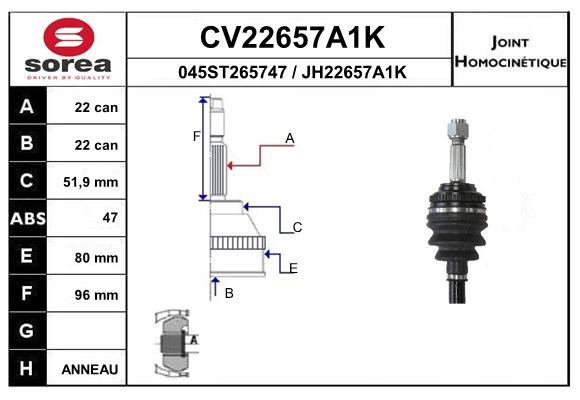 EAI CV22657A1K