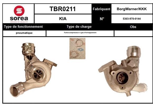 EAI TBR0211