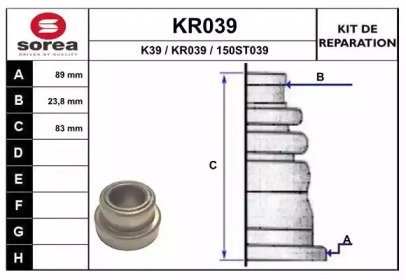 EAI KR039