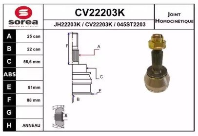 EAI CV22203K