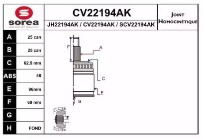 EAI CV22194AK