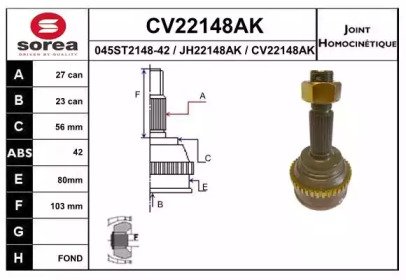 EAI CV22148AK