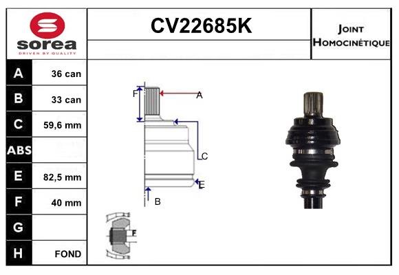 EAI CV22685K