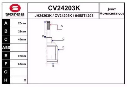 EAI CV24203K