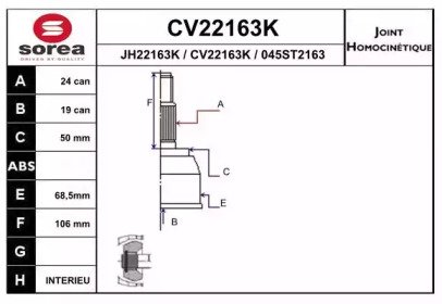 EAI CV22163K