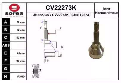 EAI CV22273K