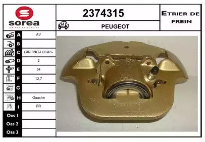 EAI 2374315 EAI 2374315