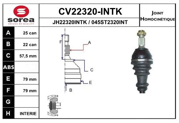 EAI CV22320-INTK