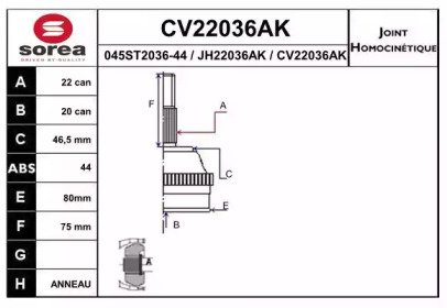 EAI CV22036AK