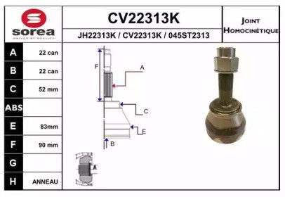 EAI CV22313K