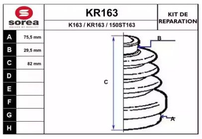 EAI KR163