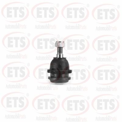 ETS 73.BJ.466 ETS 73.BJ.466