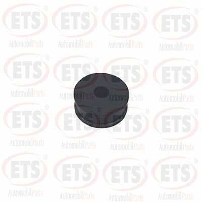 ETS 31.ST.803 ETS 31.ST.803