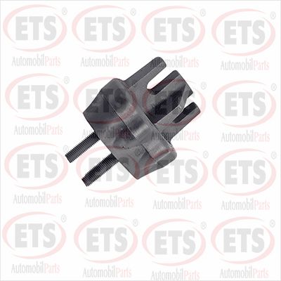 ETS 31.TM.921 ETS 31.TM.921