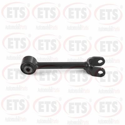 ETS 73.TC.713 ETS 73.TC.713