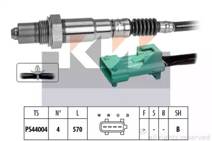 KW 498 246